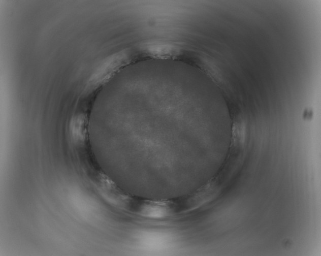 X0000112860671200909111510