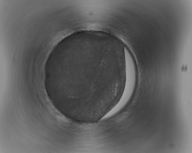 X0000112860673200909111509