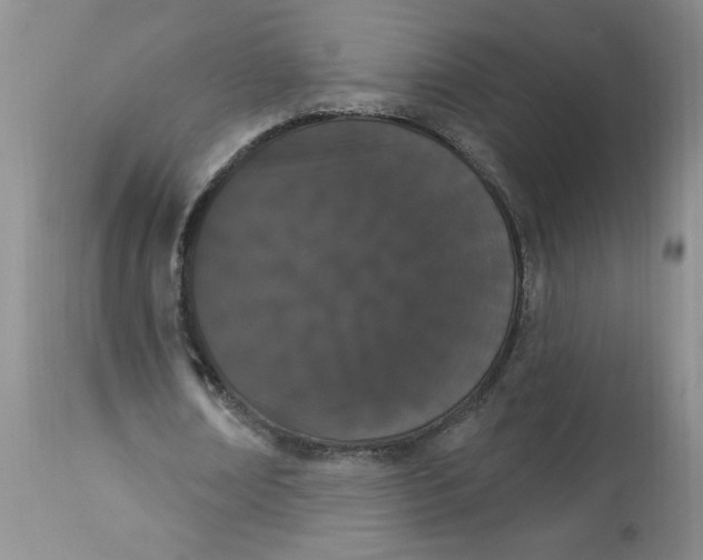 X0000112860674200909111509