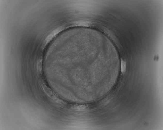 X0000112860675200909111509