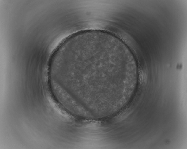 X0000112860676200909111509