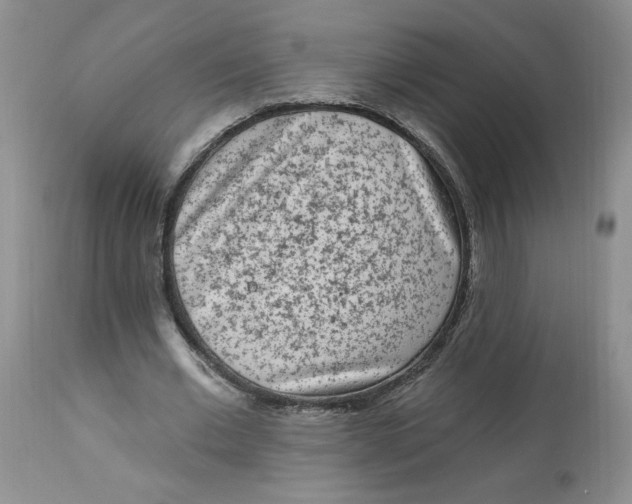 X0000112860677200909111509