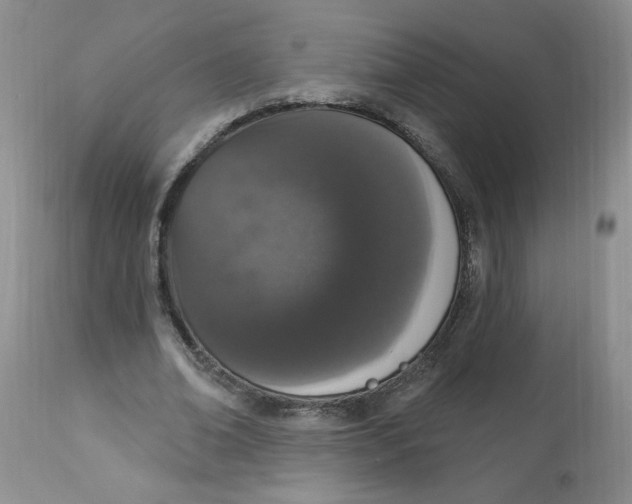 X0000112860678200909111509