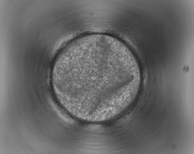 X0000112860685200909111509