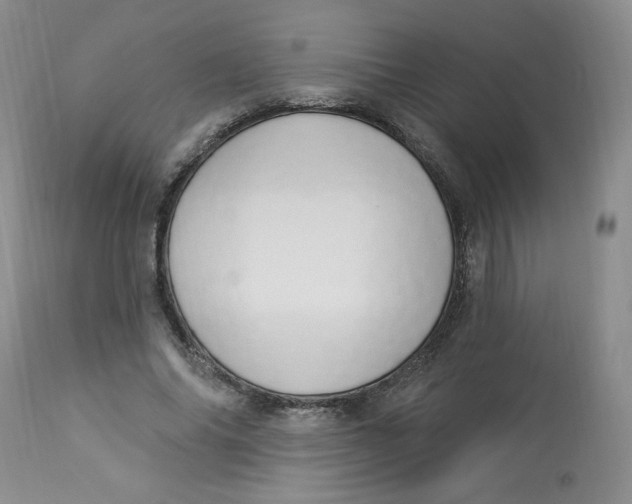 X0000112860686200909111509