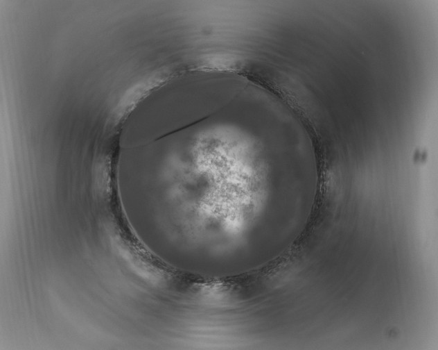 X0000112860688200909111509