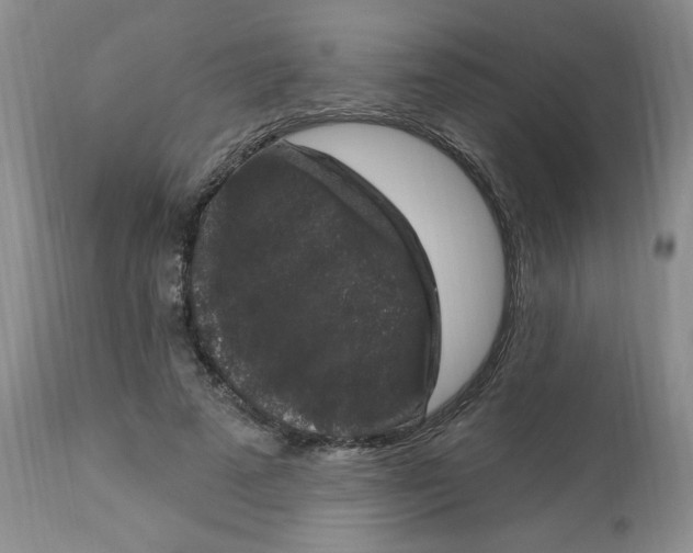 X0000112860689200909111509