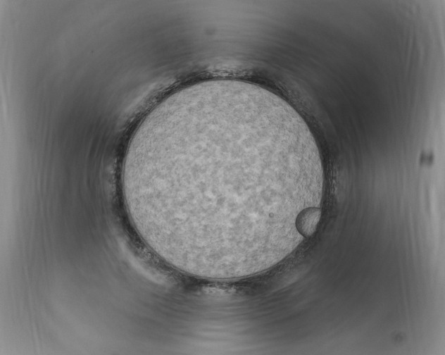 X0000112860690200909111509