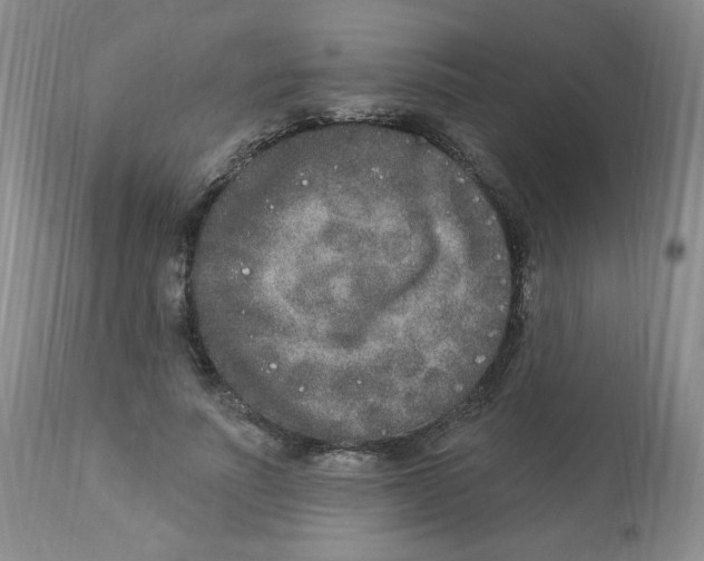 X0000112860691200909111509