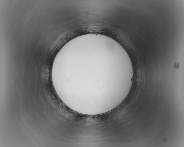 X0000112860697200909111509