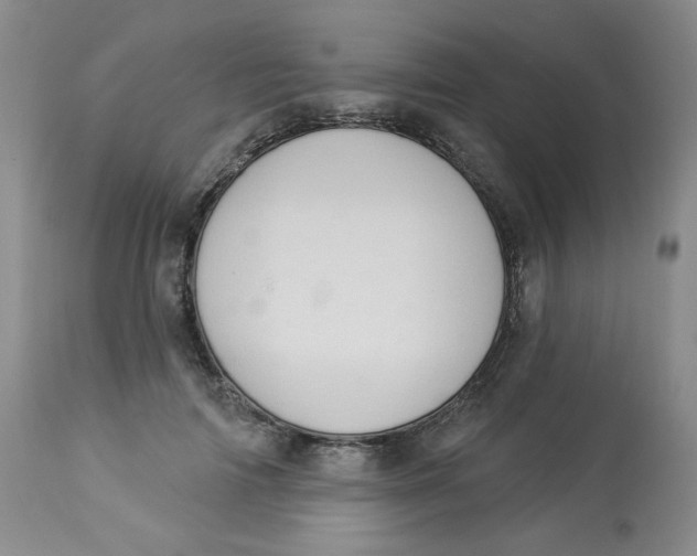 X0000112860698200909111509