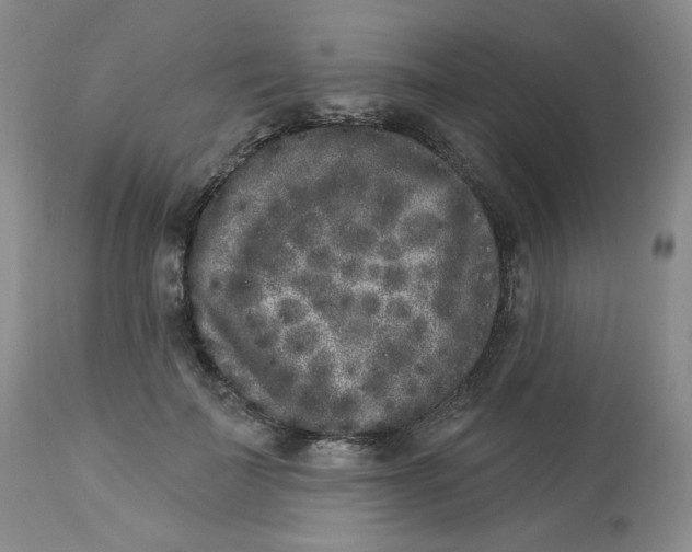 X0000112860699200909111509