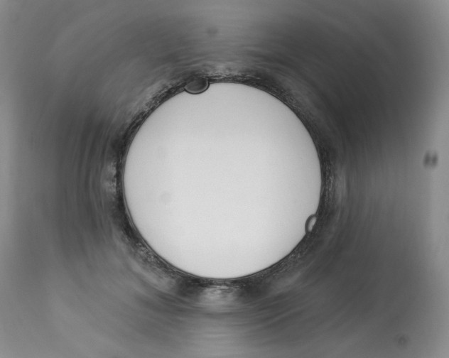 X0000112860700200909111509