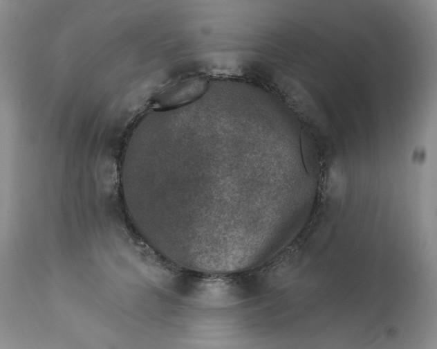 X0000112860704200909111509