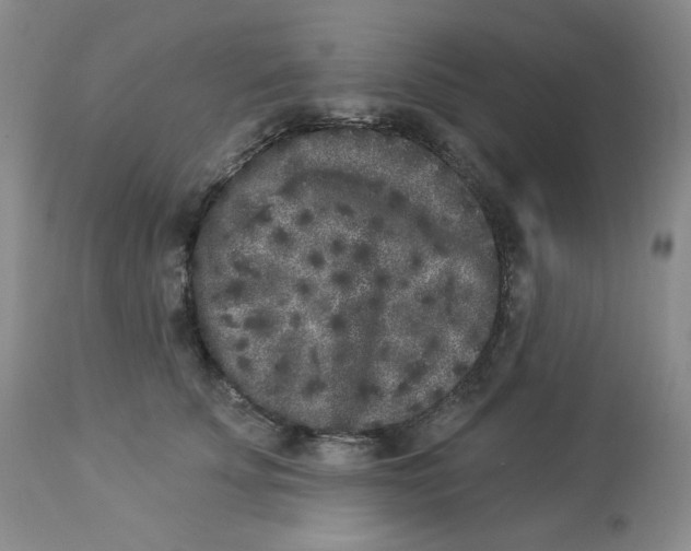 X0000112860707200909111509