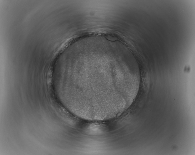 X0000112860708200909111509