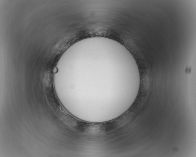 X0000112860709200909111509