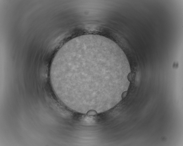 X0000112860710200909111509