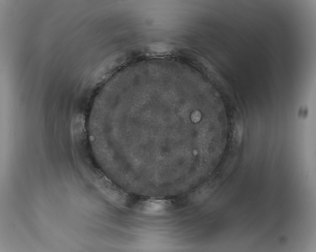 X0000112860711200909111509