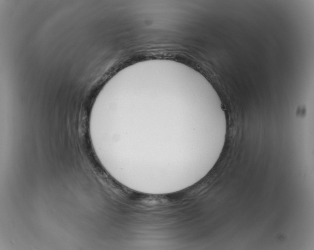 X0000112860712200909111509