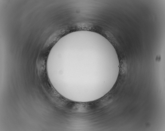 X0000112860713200909111509