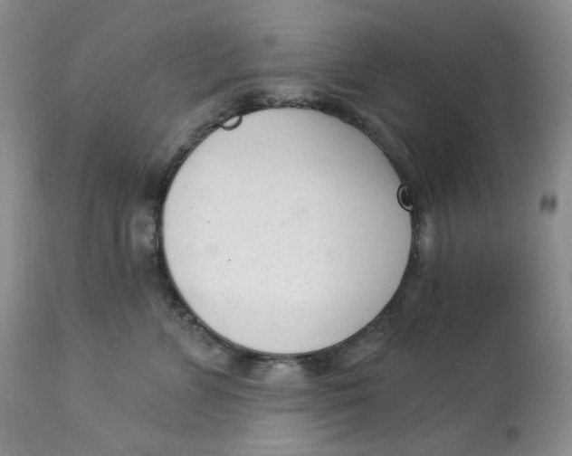 X0000112860715200909111509