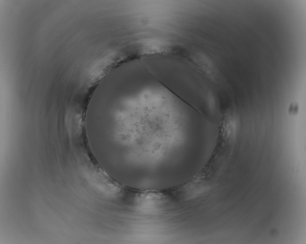 X0000112860716200909111509