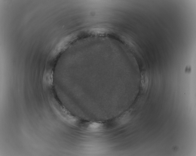 X0000112860718200909111509