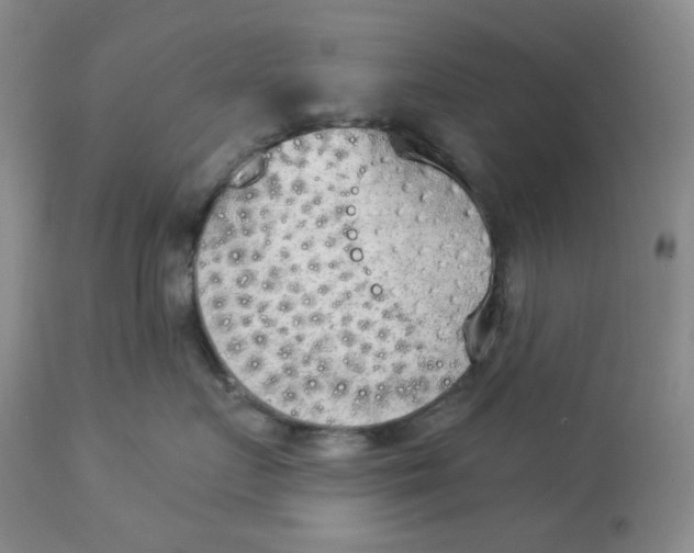 X0000112860719200909111509