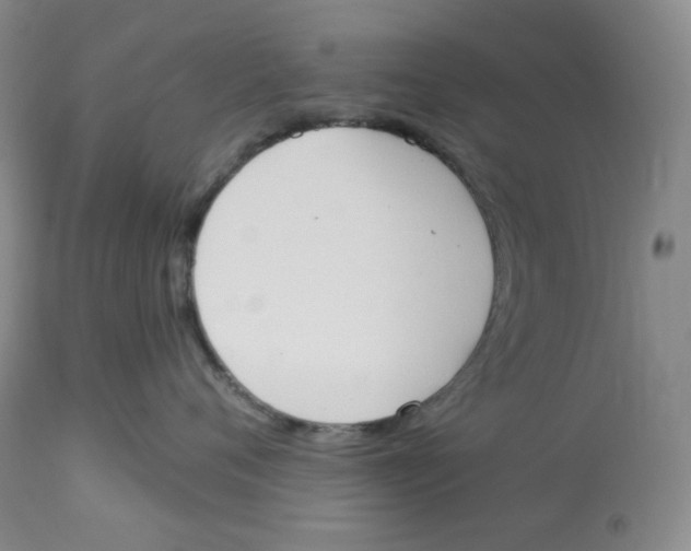 X0000112860720200909111509