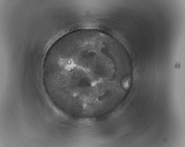 X0000112860721200909111508