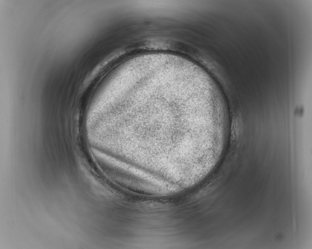 X0000112860722200909111508