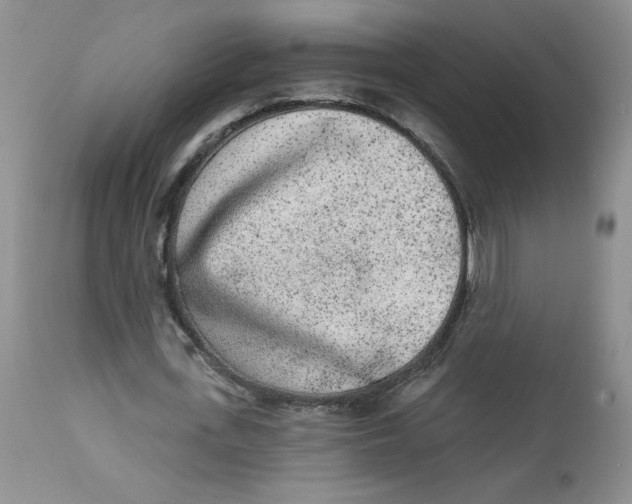 X0000112860723200909111508