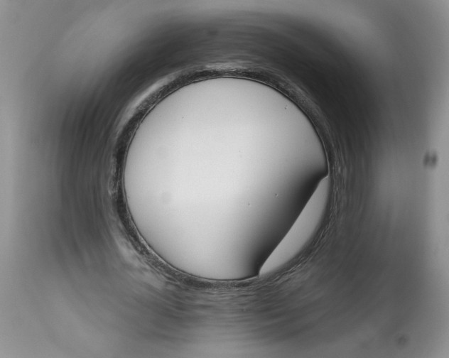 X0000112860724200909111508