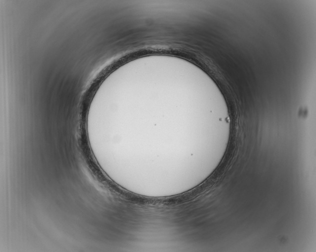 X0000112860728200909111508