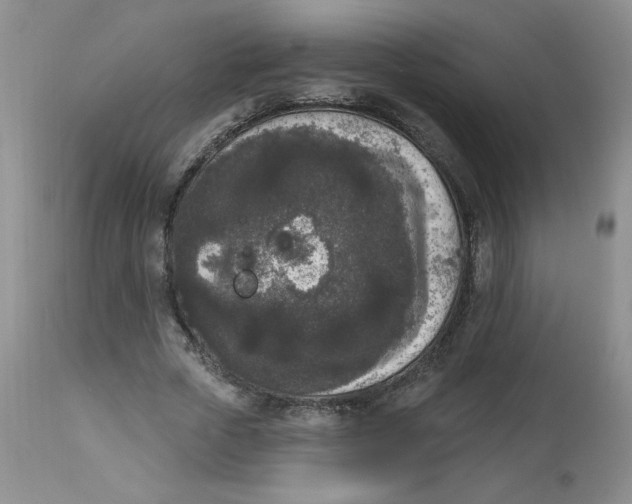 X0000112860729200909111508