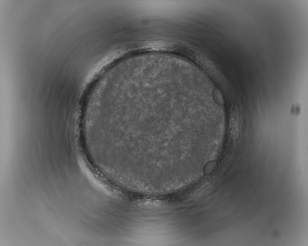 X0000112860730200909111508