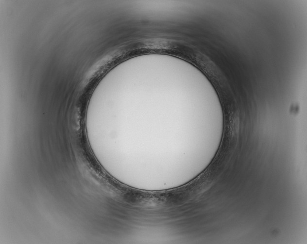 X0000112860731200909111508