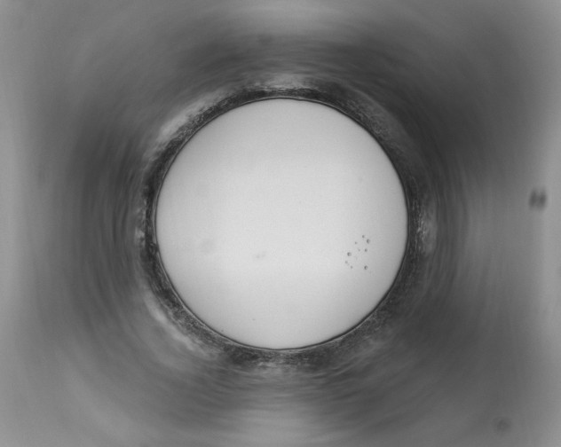 X0000112860732200909111508