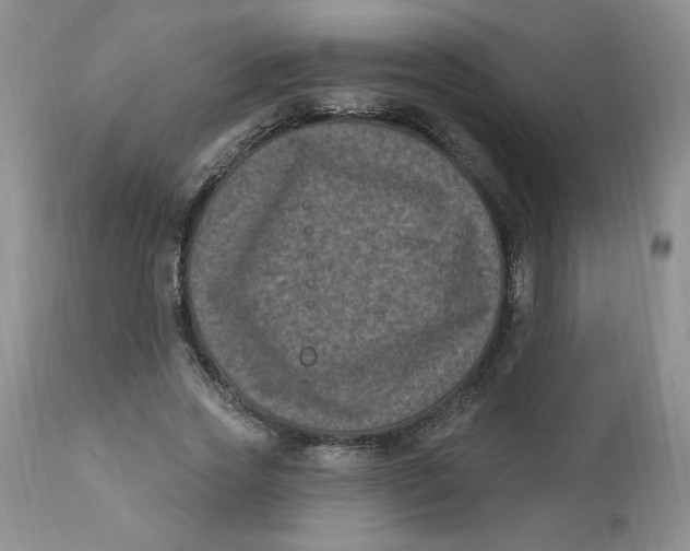 X0000112860733200909111508