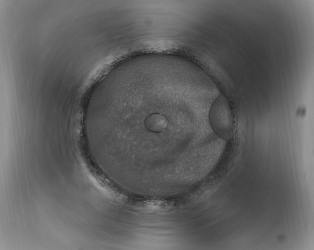 X0000112860736200909111508