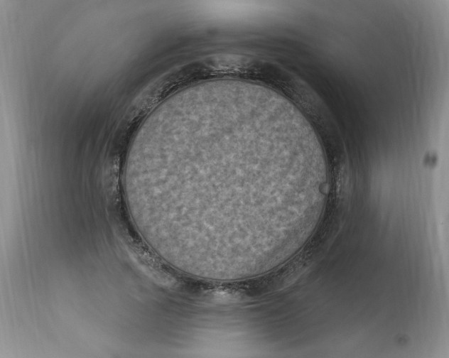 X0000112860737200909111508