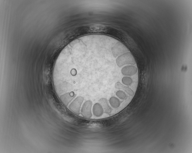 X0000112860741200909111508