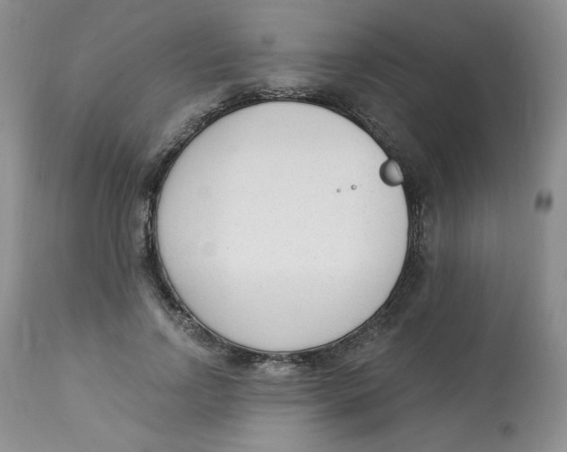 X0000112860742200909111508