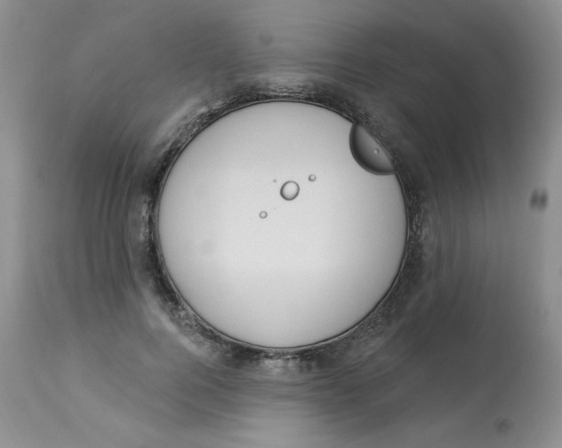 X0000112860744200909111508