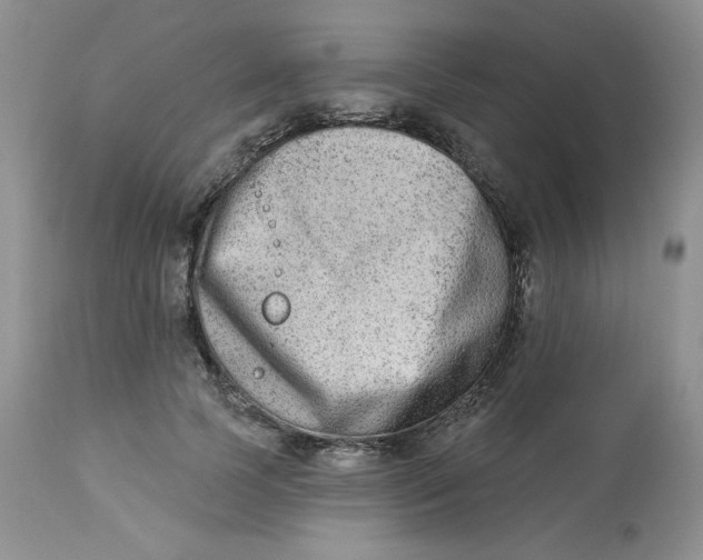 X0000112860745200909111508