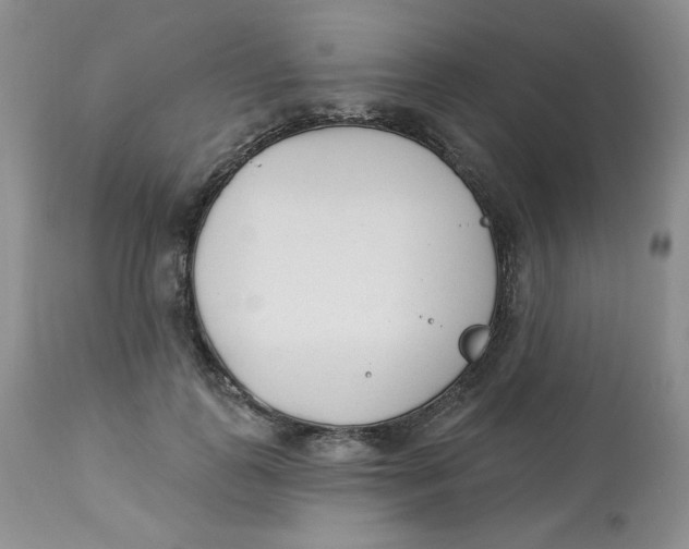 X0000112860747200909111508