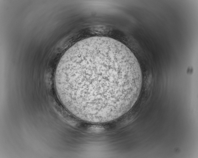 X0000112860749200909111508