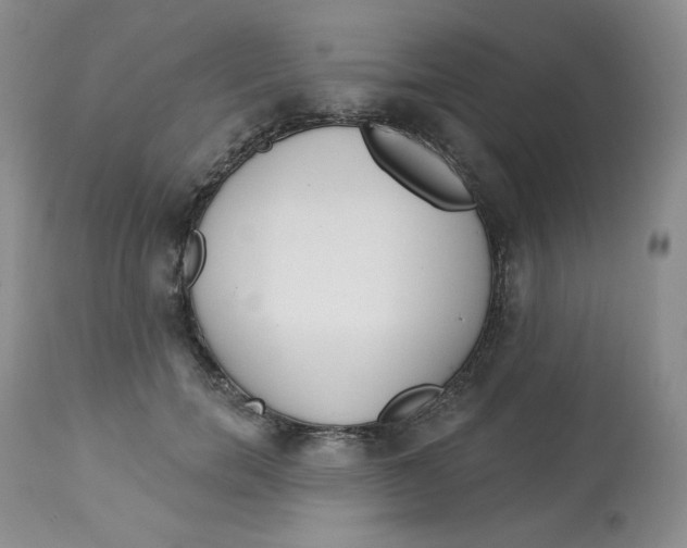 X0000112860750200909111508