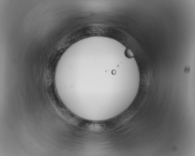 X0000112860751200909111508